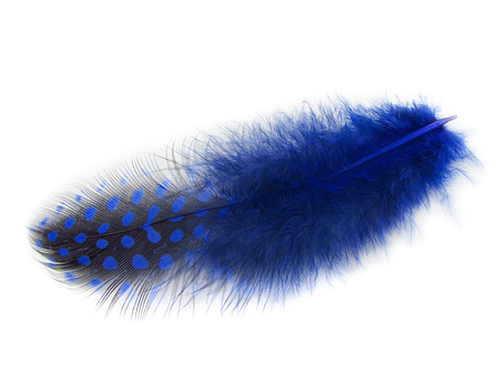 Piórka przepiórcze, ozdobne, długość ok 6-7cm / chabrowo-czarny / 1szt
