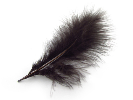 Piórka strusie, ozdobne, długość ok 17-20cm / czekoladowy / 2szt