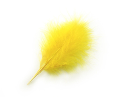 Piórka strusie, ozdobne, długość ok 10-12cm / cytrynowy / 4szt