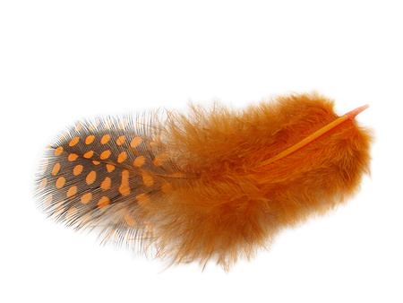 Piórka / bażancie z kropkami / 4-8cm / pomarańczowy / 4szt