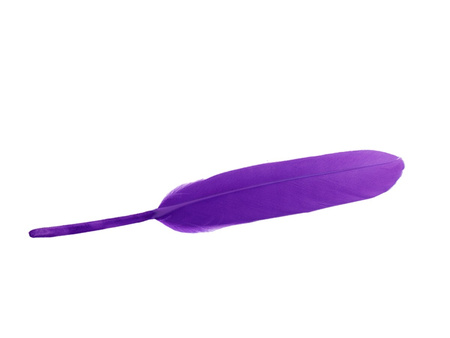 Piórka gołębie, ozdobne / fioletowy / długość ok 12-13cm / 6szt