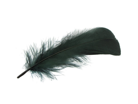 Piórka gęsie, ozdobne / butelkowa zieleń / długość 15-17cm / 4szt