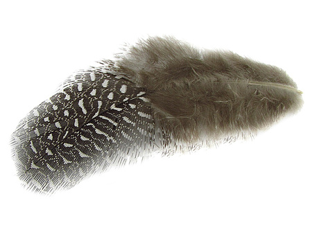Piórka bażancie, ozdobne długość ok 5-6cm / biały, czarny, brązowy / 1szt