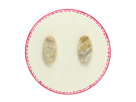 Fossil palmowy / kaboszony para / klasa AAA / 26x13x4mm / 2szt