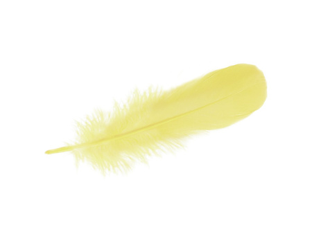 Piórka gęsie, ozdobne / cytrynowy / długość 11-13cm / 6szt