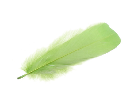 Piórka gęsie, ozdobne / zielony / pastelowy / długość 11-13cm / 6szt