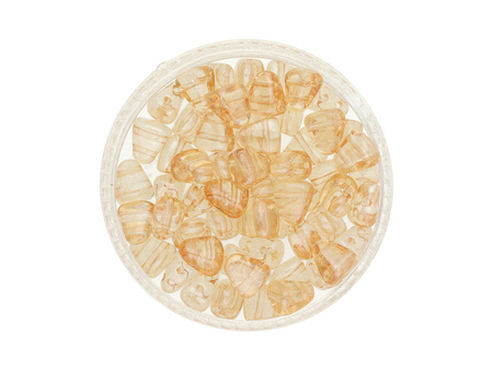 NIB-BIT™ / 6x5mm / Luster Transparent / Champagne / 5g / ~27szt