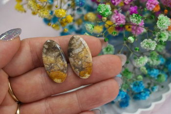 Fossil palmowy / kaboszony para / klasa AAA / 27x14x3mm / 2 szt