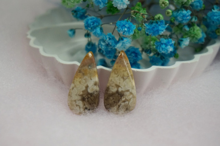Fossil palmowy / kaboszony para / klasa AAA / 28x13x3mm / 2szt