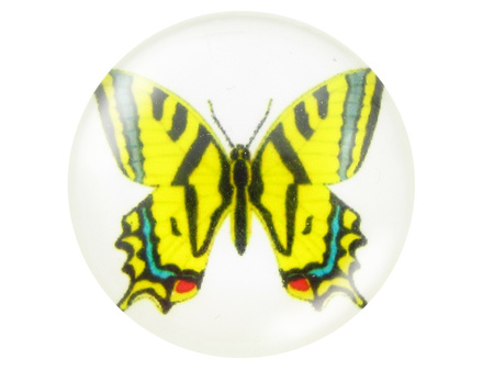 Kaboszony szklane z grafiką 25mm PT1523 / żółty / 2szt