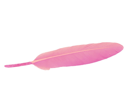 Piórka gołębie, ozdobne / pastelowy różowy / długość ok 14-16cm / 6szt