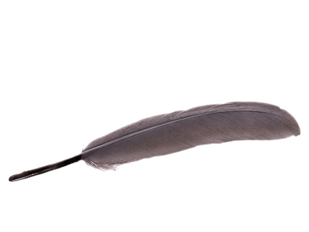 Piórka gołębie, ozdobne / szaro-fioletowy / długość ok 14-16cm / 6szt