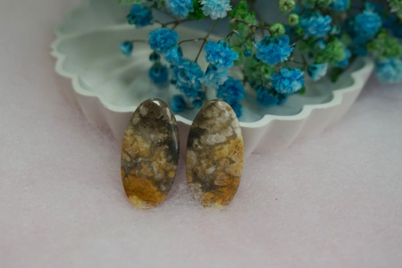 Fossil palmowy / kaboszony para / klasa AAA / 27x14x3mm / 2 szt