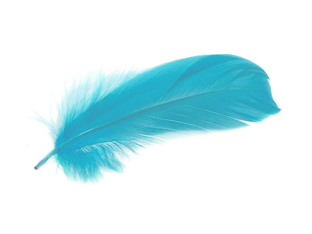 Piórka gęsie, ozdobne / turkusowy / długość 15-17cm / 4szt