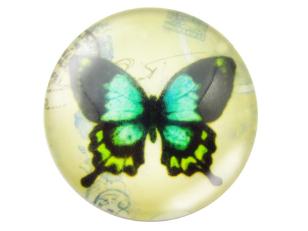 Kaboszony szklane z grafiką 25mm PT1524 / zielony / 2szt