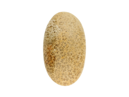 Fossil / kaboszon / 30x18x7mm / beżowy / 1szt