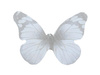 Skrzydła motyla / z organzy / 31x43mm / szary / 4szt