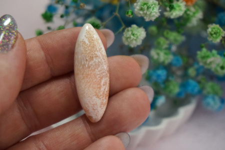 Skolecyt / kaboszon / 38x13x6mm / biały, różowy / 1szt
