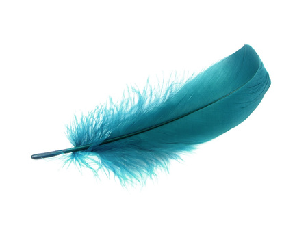 Piórka gęsie, ozdobne / ciemny lazurowy / długość 11-13cm / 1szt