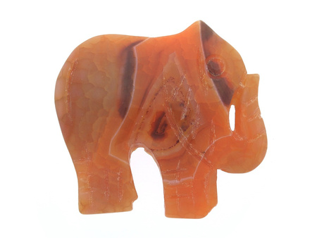 Agat / zawieszka / słoń / 47x50x8mm / pomarańczowy / 1szt