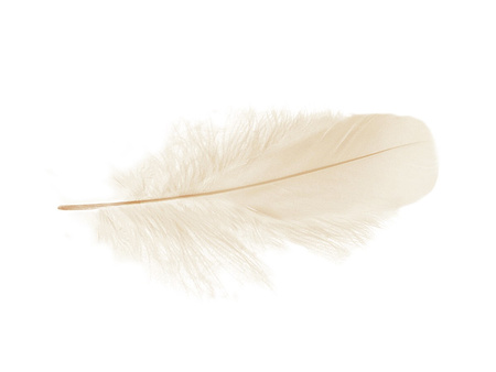 Piórka gęsie, ozdobne / cielisty / długość 11-13cm / 6szt