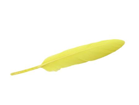Piórka gołębie, ozdobne / żółty / długość ok 10-11cm / 6szt