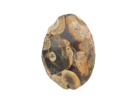 Jaspis Oceaniczny / plaster szlifowany nieregularny / 57x44x9mm / brązowy / 1szt