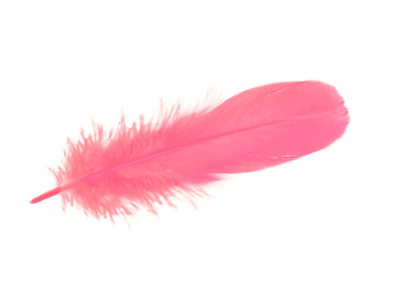 Piórka gęsie, ozdobne / różowy / neonowy / długość 18-20cm / 2szt