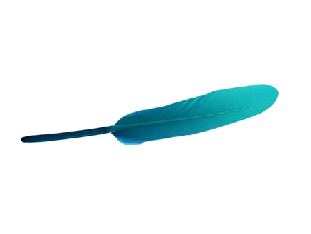 Piórka gołębie, ozdobne / lazurowy / długość ok 15cm / 6szt