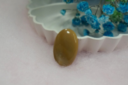 Jaspis / kaboszon / klasa AAA / 25x16x6mm / beżowy / 1szt