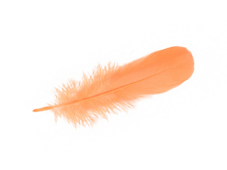 Piórka gęsie, ozdobne / brzoskwiniowy / długość 15-17cm / 4szt