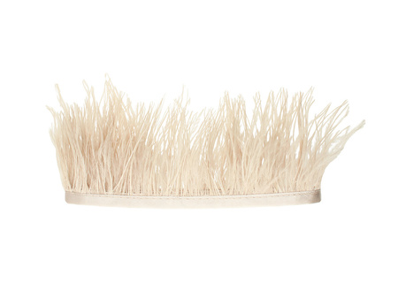 Piórka na taśmie / strusie / 8-10cm / kremowy / 50cm