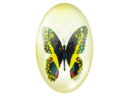 Kaboszony szklane z grafiką 18x25mm PT1527 / czarno-żółty / 2szt