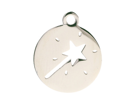 Moneta różdżka / zawieszka / stal chirurgiczna / 12x12mm / srebrny / 1szt