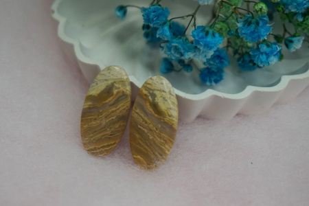 Fossil palmowy / kaboszony para / klasa AAA / 26x13x4mm / 2szt