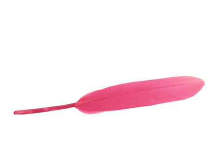 Piórka gołębie, ozdobne / neonowy różowy / długość ok 12-13cm / 6szt