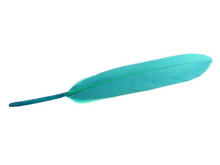 Piórka gołębie, ozdobne / pastelowy morski / długość ok 12cm / 1szt