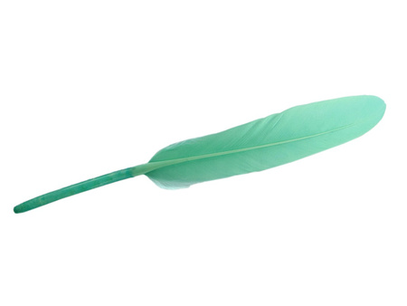 Piórka gołębie, ozdobne / miętowy / długość ok 14-16cm / 6szt