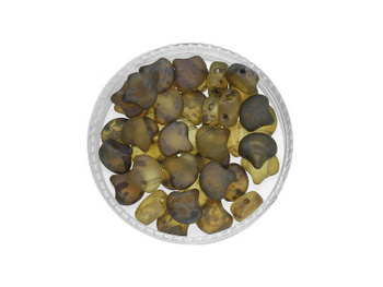 GINKO™ / 7.5x7.5mm / Matte / Transparent / Rembrandt / 5g / ~20szt