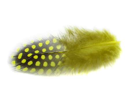 Piórka / bażancie z kropkami / 4-8cm / żółty / 4szt