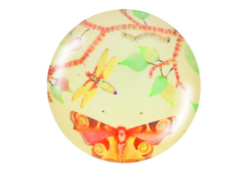 Kaboszon szklany z grafiką K20 PT1225 / multikolor / 20mm / 2szt