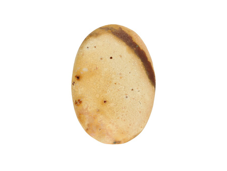 Jaspis / kaboszon / klasa AAA / 26x18x4mm / beżowy, kremowy / 1szt