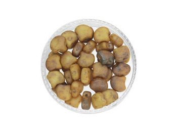 GINKO™ / 7.5x7.5mm / Matte / White / Rembrandt / 5g / ~20szt