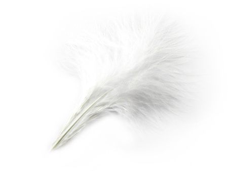 Piórka strusie, ozdobne, długość ok 13-16cm / biały / 1szt