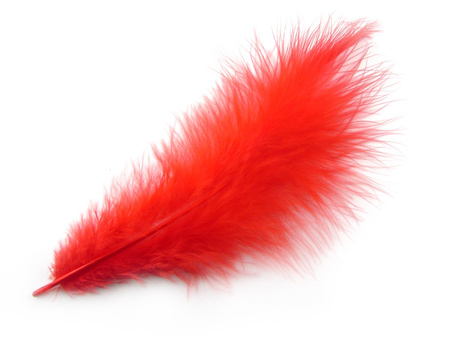 Piórka strusie, ozdobne, długość ok 13-16cm / czerwony / 2szt