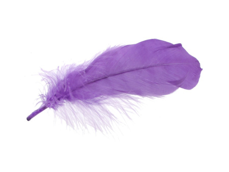 Piórka gęsie, ozdobne / fioletowy / długość 15-17cm / 4szt