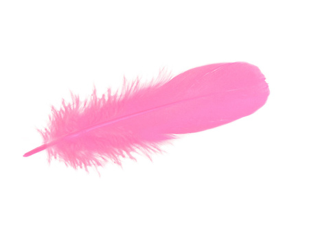 Piórka gęsie, ozdobne / różowy / długość 15-17cm / 4szt