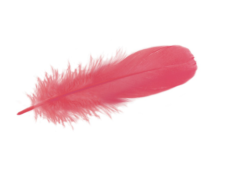 Piórka gęsie, ozdobne / koralowy / długość 15-17cm / 4szt