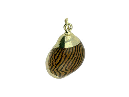 Muszelka ze złotym zdobieniem / zawieszka / brązowy, kremowy / 20x12x10mm / 1szt