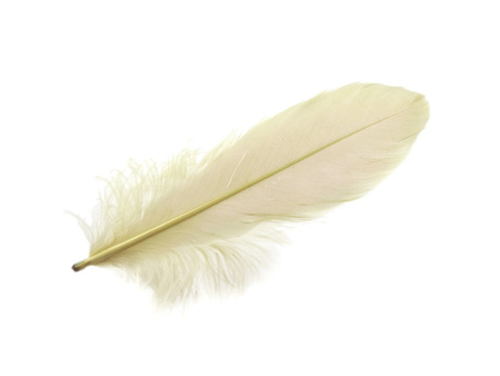 Piórka gęsie, ozdobne / migdałowy / długość 11-13cm / 1szt